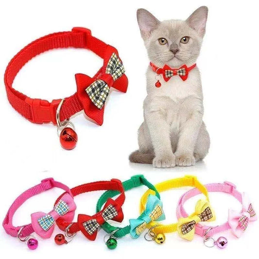Coleira com laço para gato